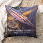 ロング・ノーズ・ホークフィッシュ クッション (ブランケット)