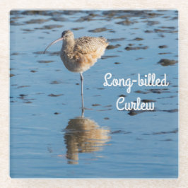 ロング・バング・カール ガラスコースター