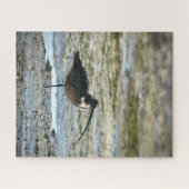 ロング・バング・カール ジグソーパズル (横)