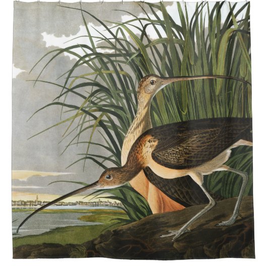 ロング – バードカレーバイアウドゥボンヴィンテージマーシュバード シャワーカーテン (正面)