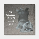 ロング マグネット (正面)