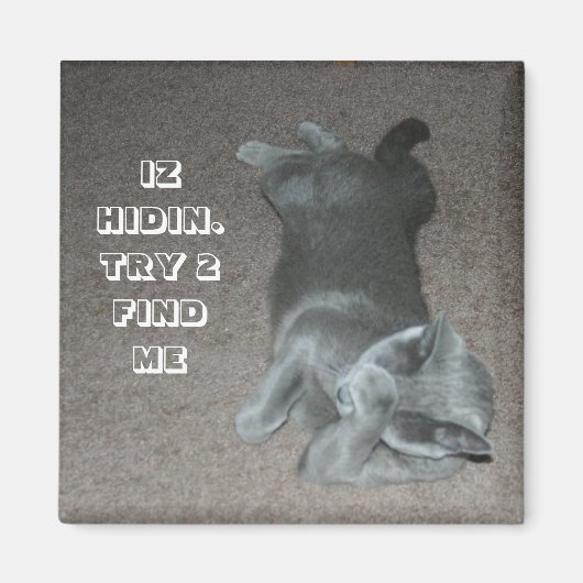 ロング マグネット (正面)