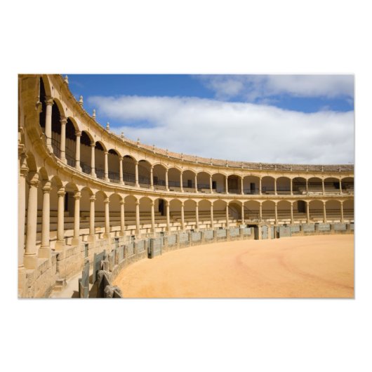 ロンダで強打する フォトプリント            (正面)