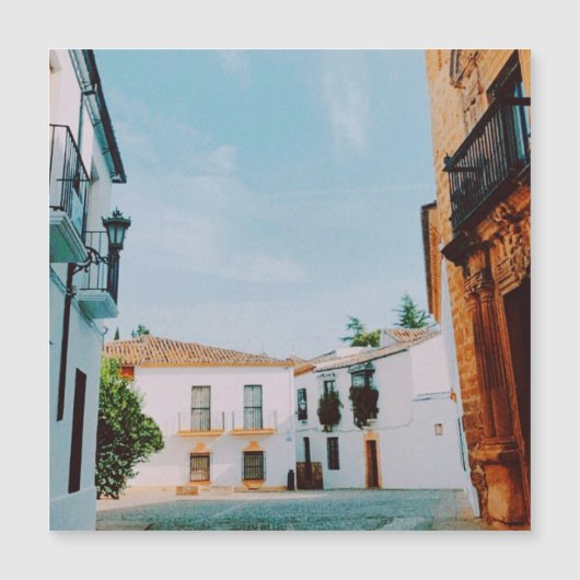 ロンダの歴史的な街 (正面)