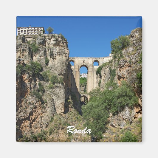 ロンダ マグネット (正面)