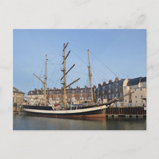 ロンドンのペリカン ポストカード (正面)