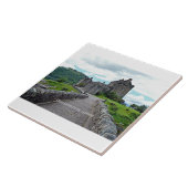 ロンドンのロンドンのアイレア城 タイル (側面)