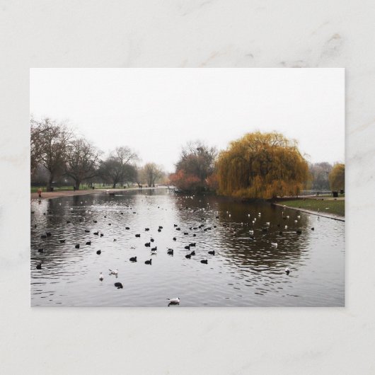 ロンドンの公園 ポストカード (正面)