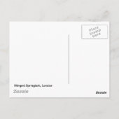 ロンドンの翼付きスプリングボク ポストカード (裏面)