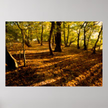 ロンドンウッズ