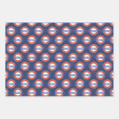 ロンドンクールパターンパーティー ラッピングペーパーシート (正面2)