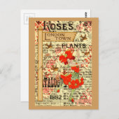 ロンドンタウンの植物 ポストカード (正面/裏面)