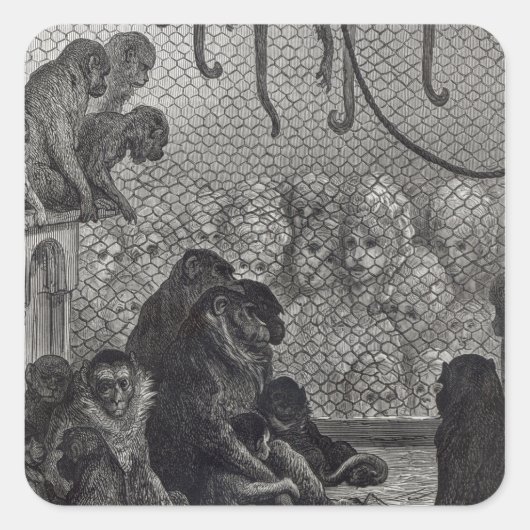 ロンドンモンキーズ スクエアシール (正面)