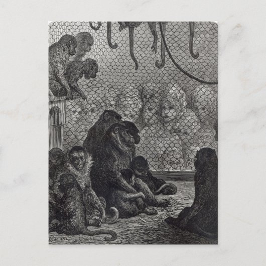 ロンドンモンキーズ ポストカード (正面)