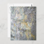 ロンドン飛行機樹皮はがき ポストカード (正面/裏面)