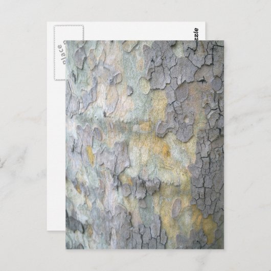 ロンドン飛行機樹皮はがき ポストカード (正面/裏面)