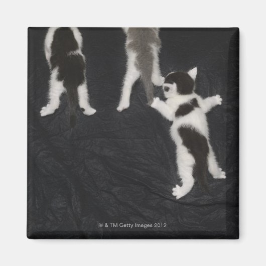 ロンドン、イギリス、イギリス2 マグネット (正面)