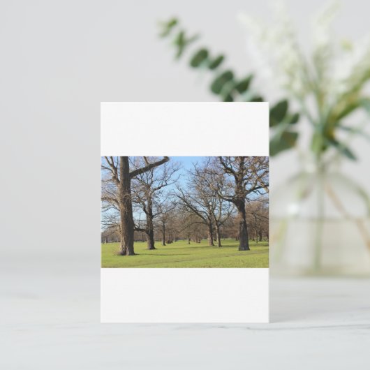 ロンドン ポストカード (スタンド正面)