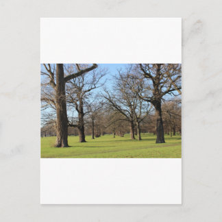 ロンドン ポストカード