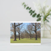 ロンドン ポストカード (スタンド正面)