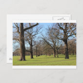 ロンドン ポストカード (正面/裏面)