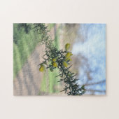 ロンドンUKハイドパークの初期春の花 ジグソーパズル (横)