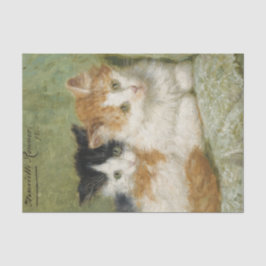 ロンナーナイフでクッションに座る子猫たち|過去記事 薄葉紙