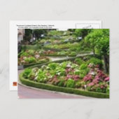 ロンバルディ通りインサンフランシコ ポストカード (正面/裏面)