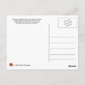 ロンバルディ通りインサンフランシコ ポストカード (裏面)