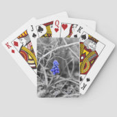 ロンリーグレープハイアシントセレクトカラー トランプ (裏面)