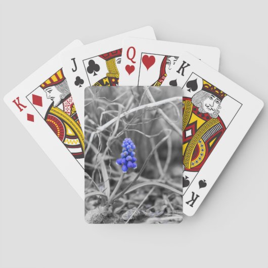 ロンリーグレープハイアシントセレクトカラー トランプ (裏面)