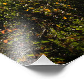 ロンリーツリーインポイントロボス フォトプリント            (角)