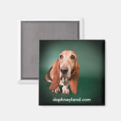 ロンリーバスセットマグネット マグネット (正面/裏面)