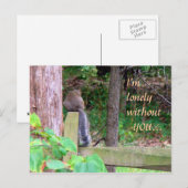 ロンリーリス ポストカード (正面/裏面)