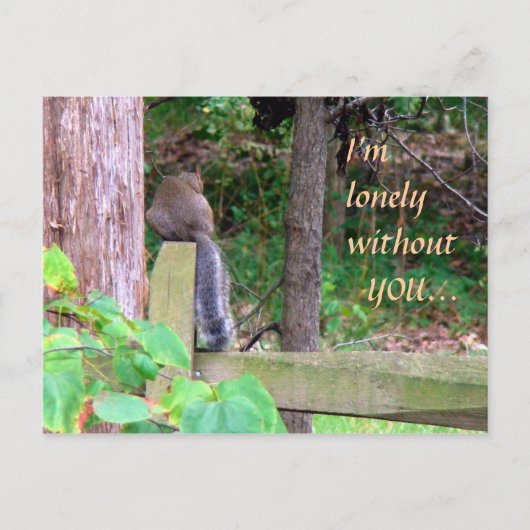 ロンリーリス ポストカード (正面)