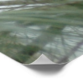 ロンリー(鳥)ショウジョウコウカンチョウ ポスター (角)