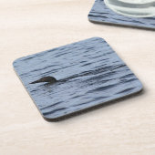 ロン コースター (左側)