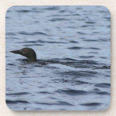 ロン コースター (正面)