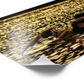 ロン フォトプリント            (角)