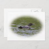 ロン ポストカード (正面/裏面)