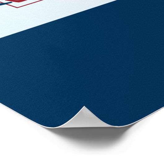 ロン・ポール ポスター (角)