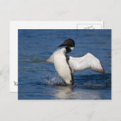 ロンIV ポストカード (正面/裏面)