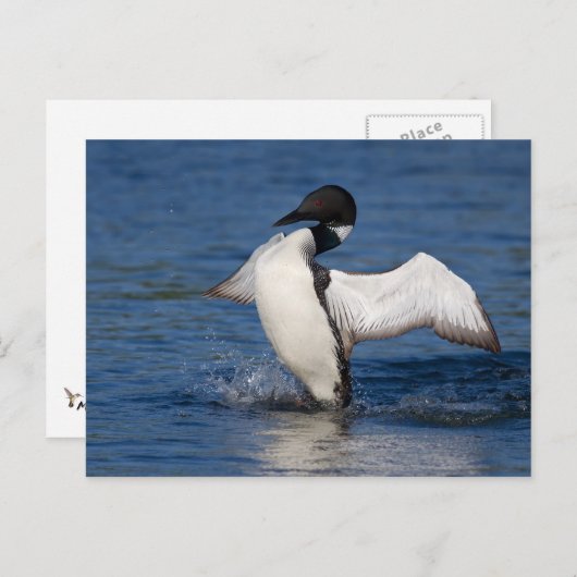 ロンIV ポストカード (正面/裏面)