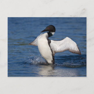 ロンIV ポストカード