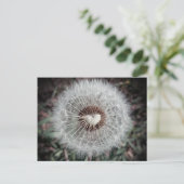 ロヴェンツァン ポストカード (スタンド正面)