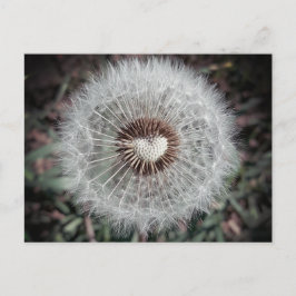 ロヴェンツァン ポストカード