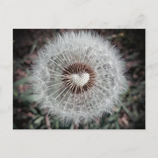 ロヴェンツァン ポストカード (正面)