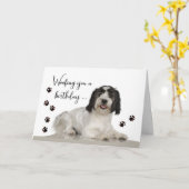 ローおもしろいチェン犬と泥の足を持つ誕生日カード カード (黄色い花)