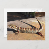 ローアリゾナ・キングの場所アリゲーターリザードを表示する？ ポストカード (正面/裏面)