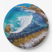 ローアリングベイアットナゲット ペーパープレート (正面)